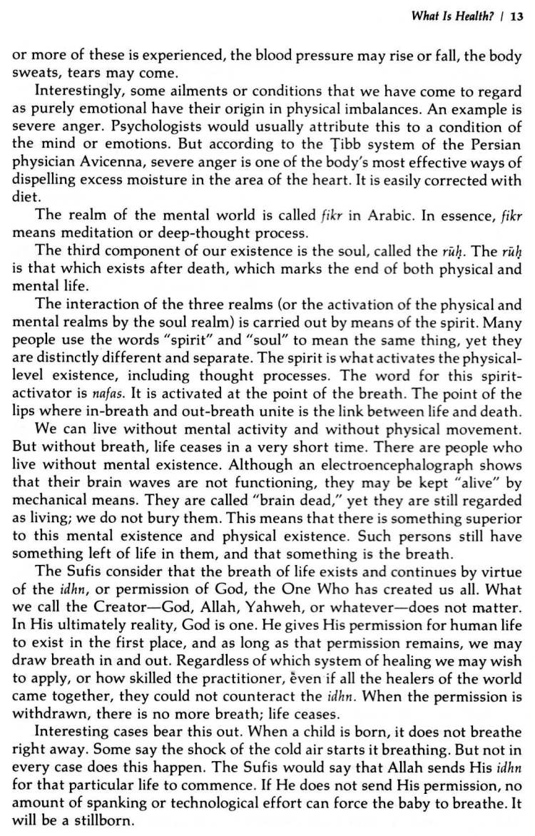 Book-of-Sufi-Healing-by-Shaykh-Chishti_Page_025
