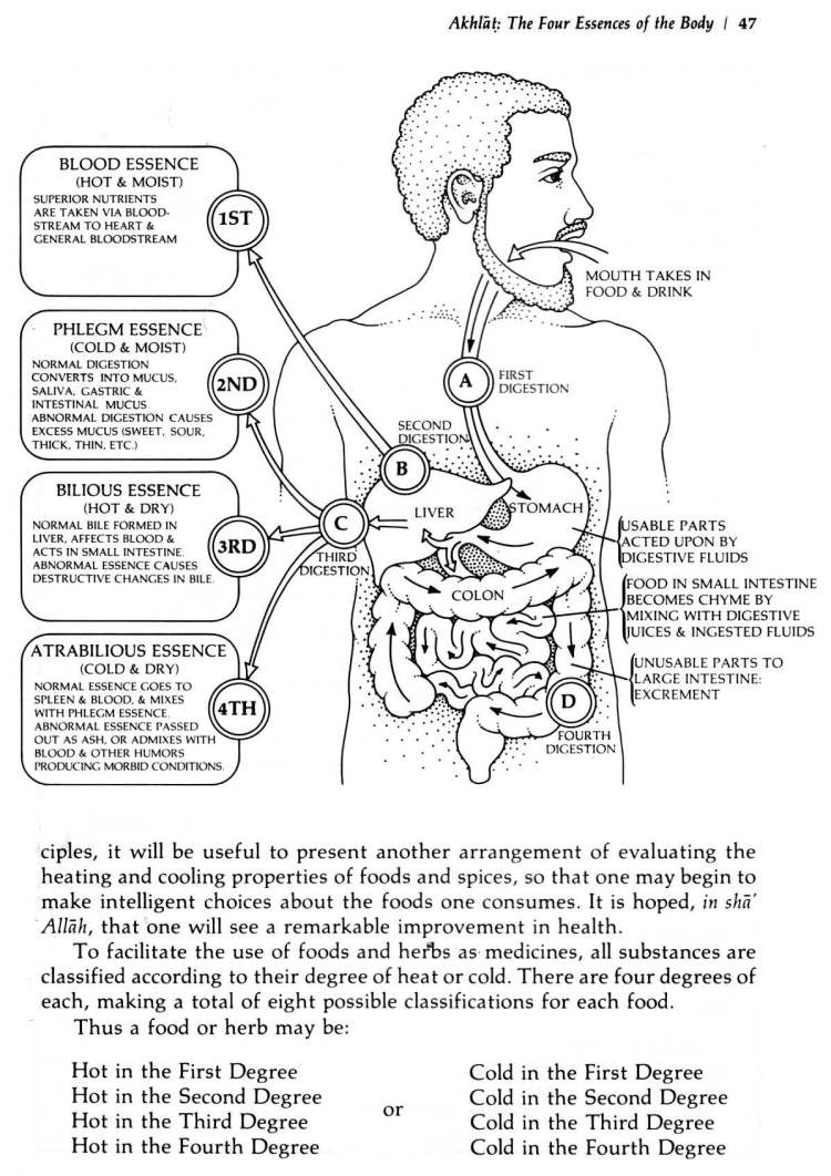 Book-of-Sufi-Healing-by-Shaykh-Chishti_Page_056