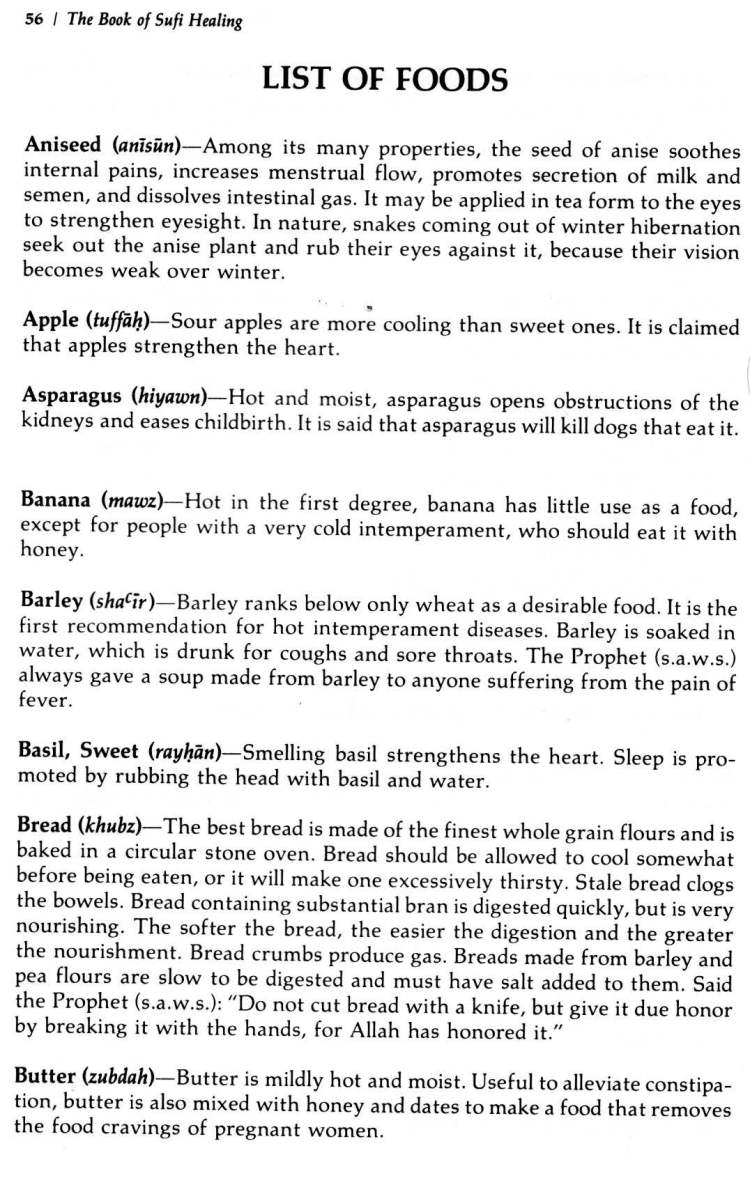 Book-of-Sufi-Healing-by-Shaykh-Chishti_Page_065