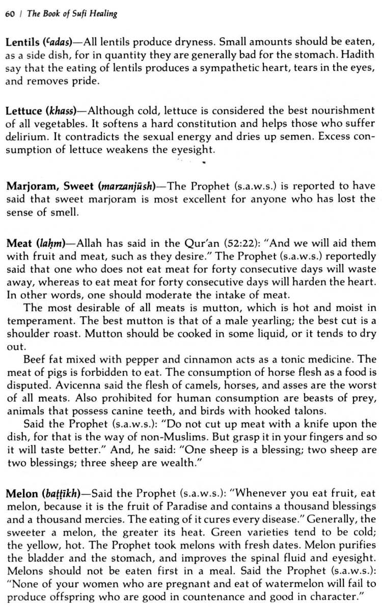 Book-of-Sufi-Healing-by-Shaykh-Chishti_Page_069