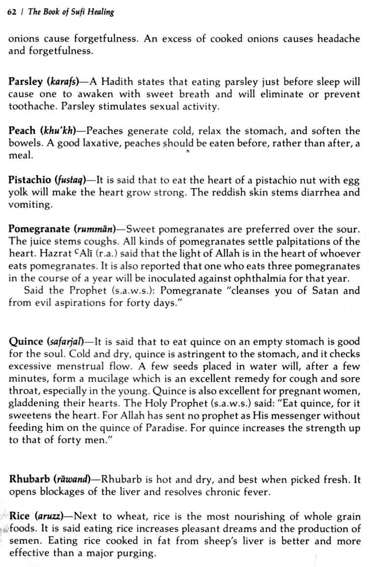 Book-of-Sufi-Healing-by-Shaykh-Chishti_Page_071