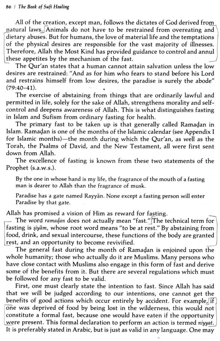 Book-of-Sufi-Healing-by-Shaykh-Chishti_Page_096