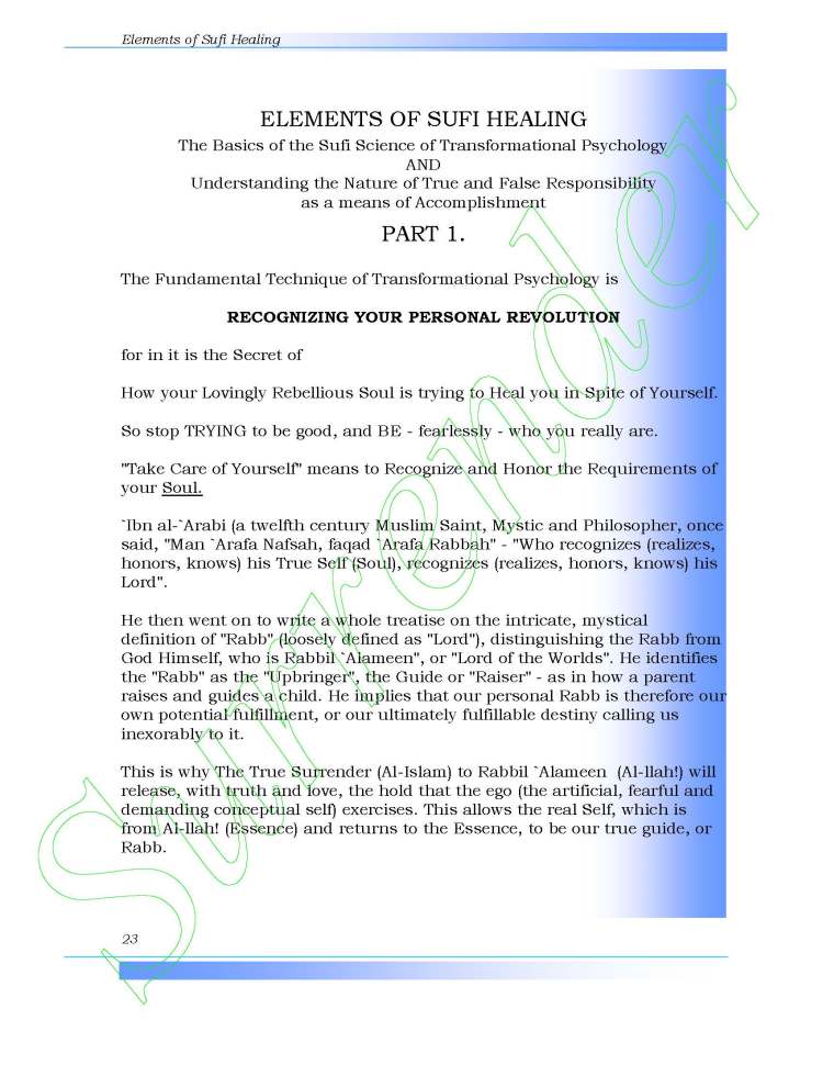 Elements of Sufi Healing by Ali Ansari_Page_23