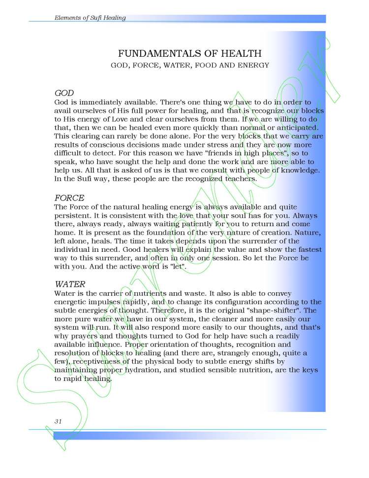 Elements of Sufi Healing by Ali Ansari_Page_31