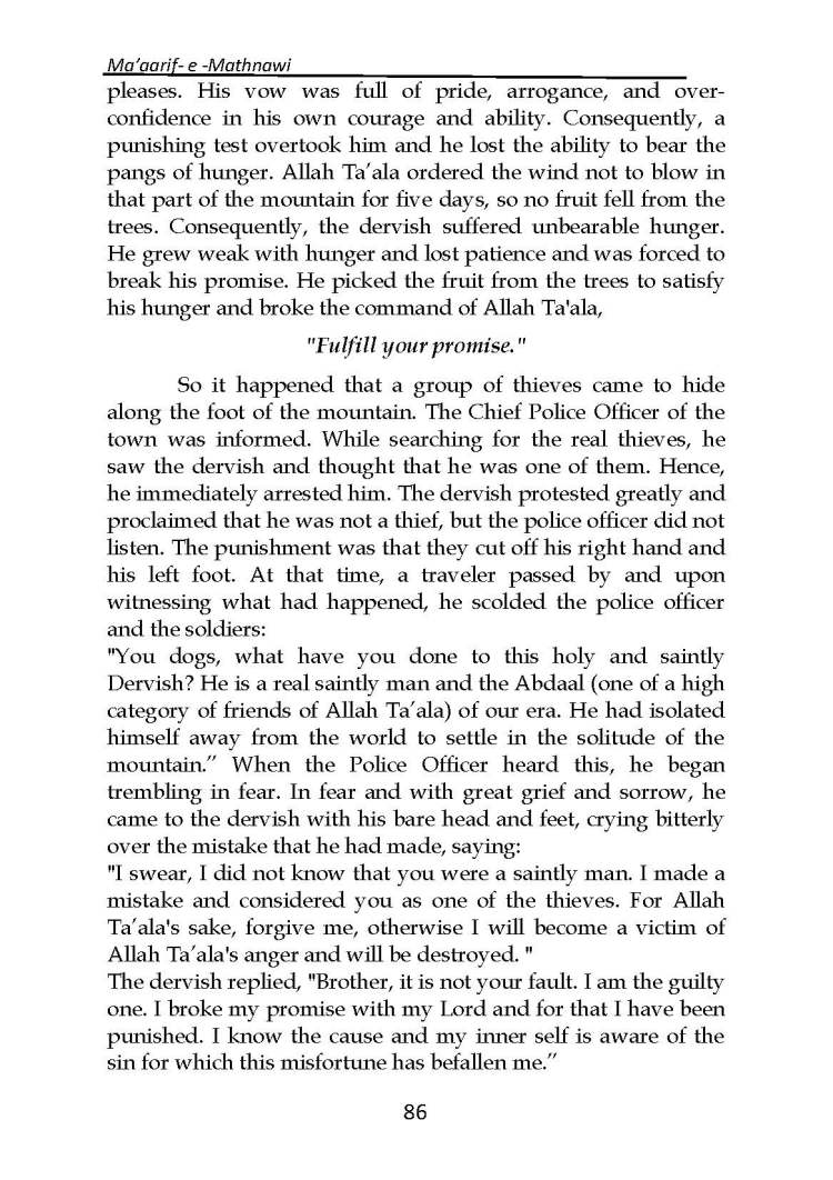 Ma-aarif-E-Mathnawi_Page_087