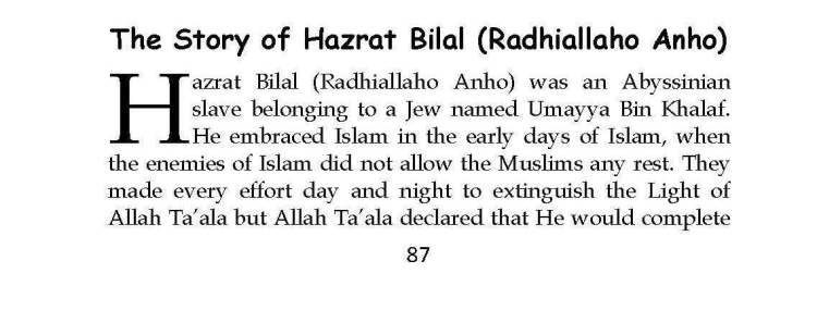 Ma-aarif-E-Mathnawi_Page_088