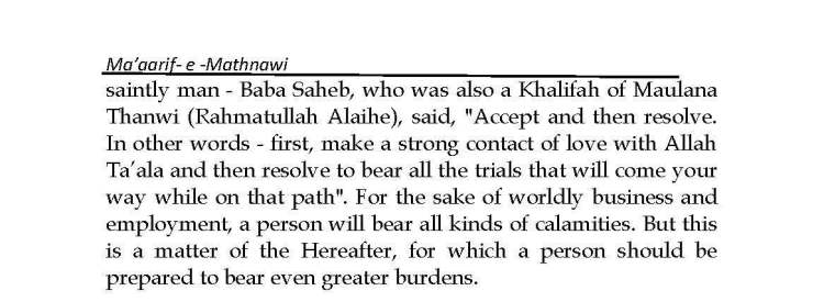 Ma-aarif-E-Mathnawi_Page_101 - Copy