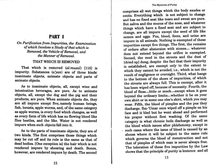 misteries of purity by Ghazali_Page_11