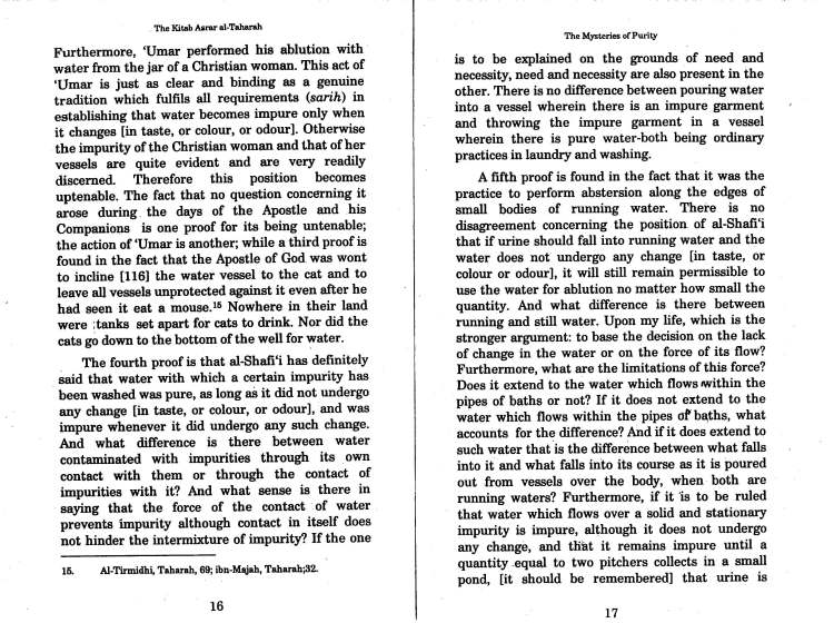 misteries of purity by Ghazali_Page_13