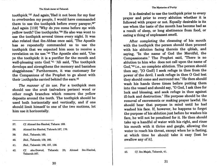 misteries of purity by Ghazali_Page_20