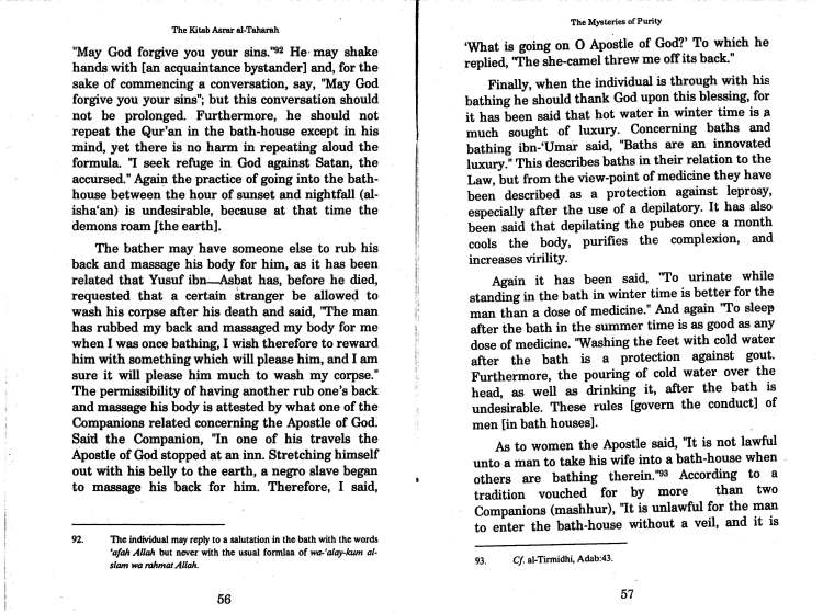 misteries of purity by Ghazali_Page_33