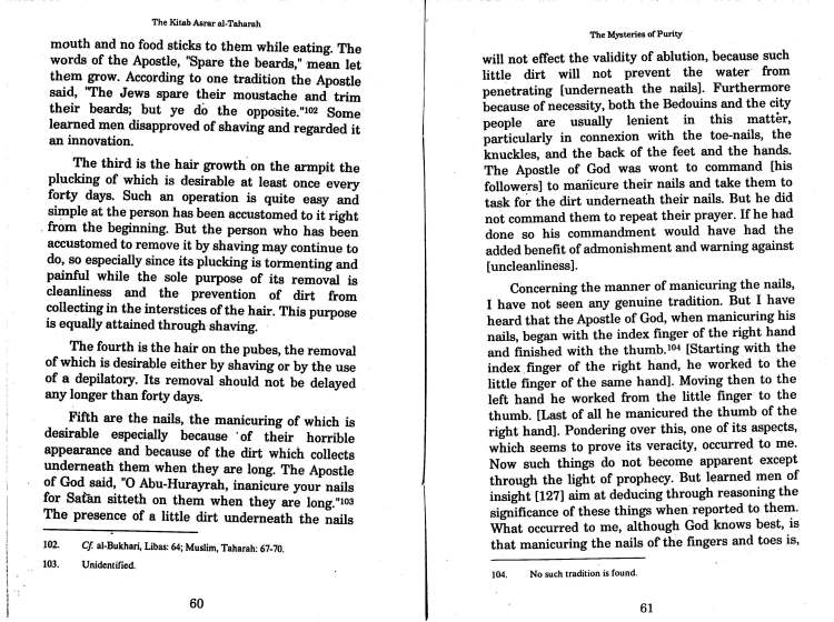 misteries of purity by Ghazali_Page_35