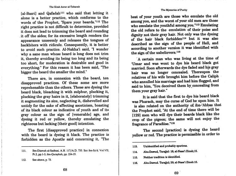 misteries of purity by Ghazali_Page_39