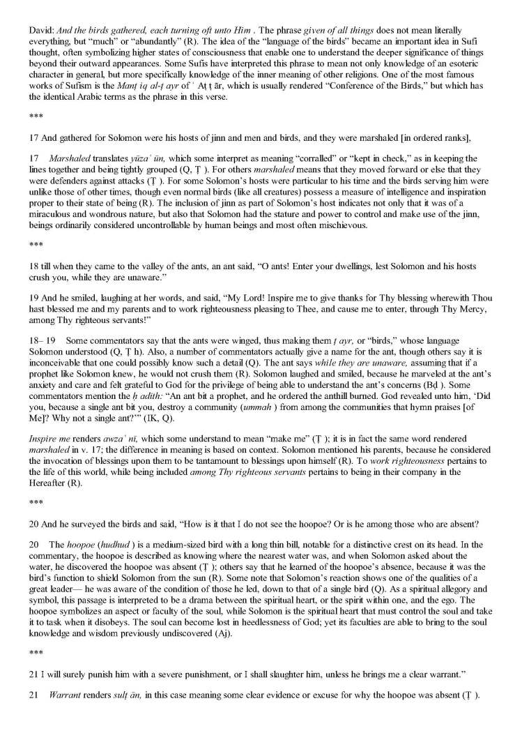 TheStudyQuranANewTranslationandCommentary_Page_0860