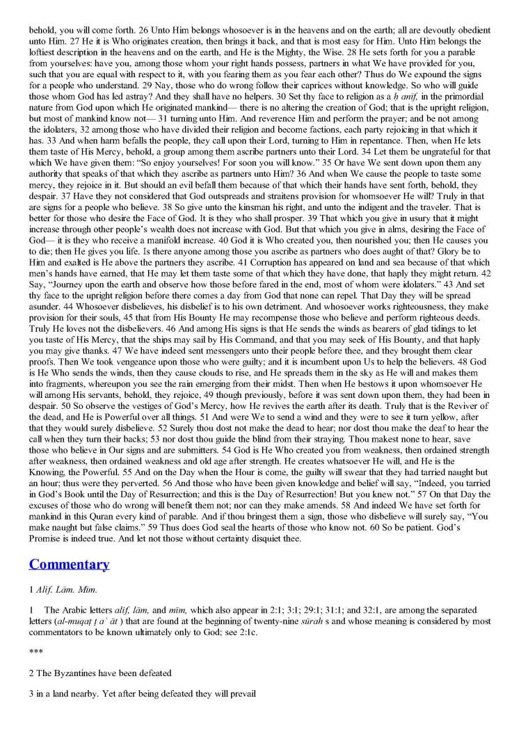 TheStudyQuranANewTranslationandCommentary_Page_0911