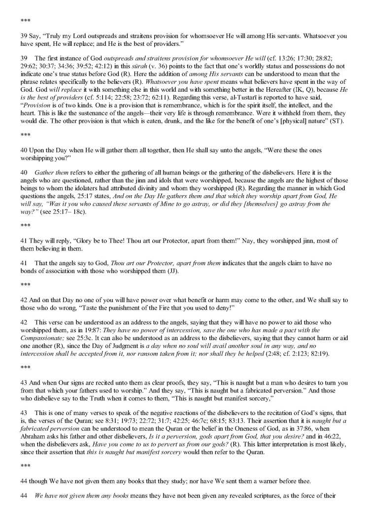 TheStudyQuranANewTranslationandCommentary_Page_0971