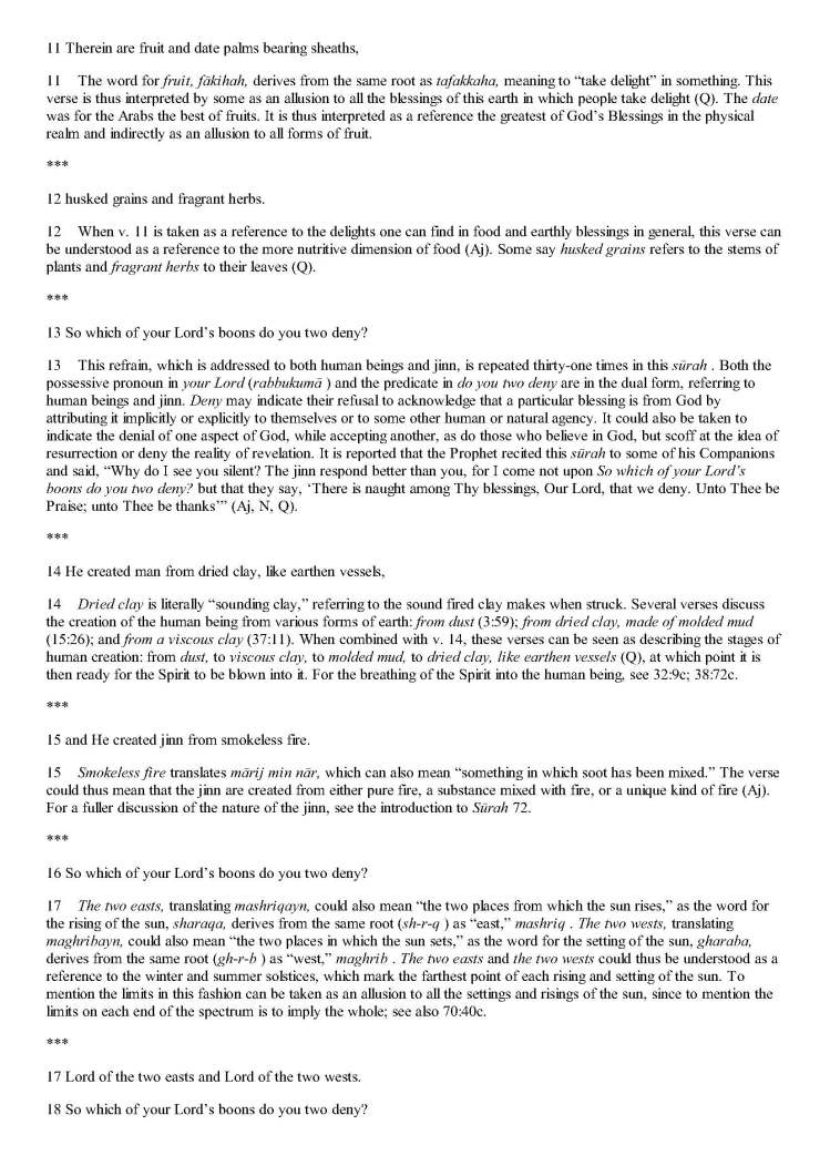 TheStudyQuranANewTranslationandCommentary_Page_1223