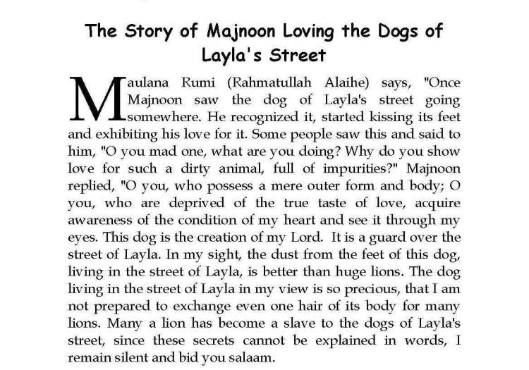 Ma-aarif-E-Mathnawi_Page_206