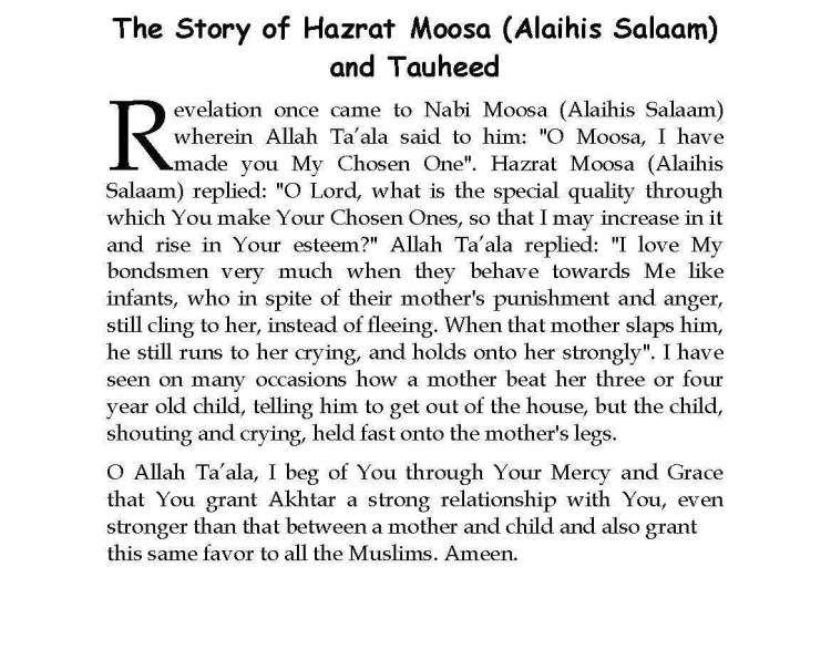 Ma-aarif-E-Mathnawi_Page_215