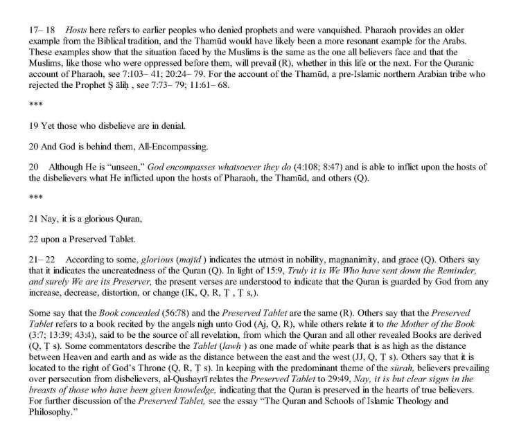 TheStudyQuranANewTranslationandCommentary_Page_1394 - Copy