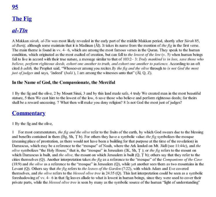 TheStudyQuranANewTranslationandCommentary_Page_1420