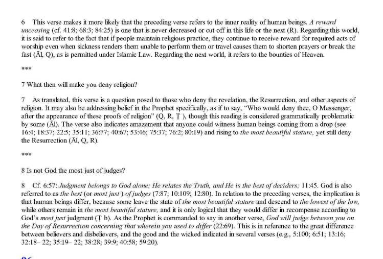 TheStudyQuranANewTranslationandCommentary_Page_1422 - Copy