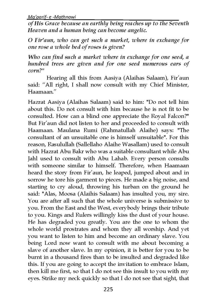 Ma-aarif-E-Mathnawi_Page_226