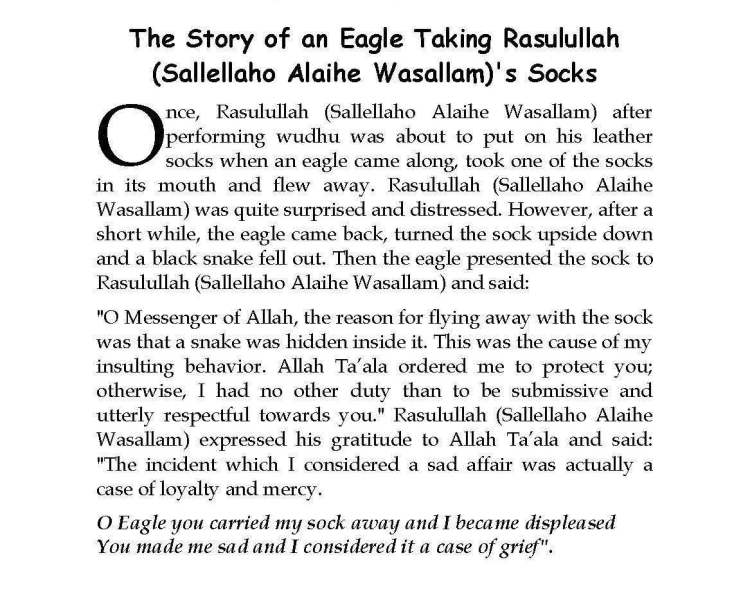 Ma-aarif-E-Mathnawi_Page_236