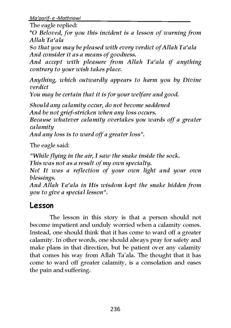 Ma-aarif-E-Mathnawi_Page_237