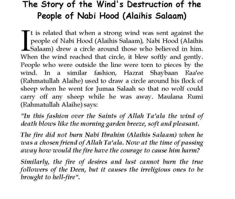 Ma-aarif-E-Mathnawi_Page_246