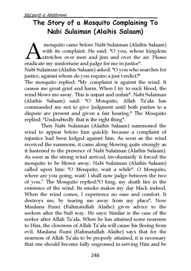 Ma-aarif-E-Mathnawi_Page_247