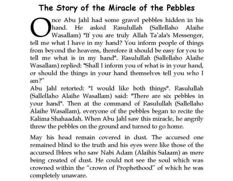 Ma-aarif-E-Mathnawi_Page_250